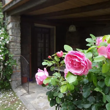 Bed & Breakfast Le Fontane